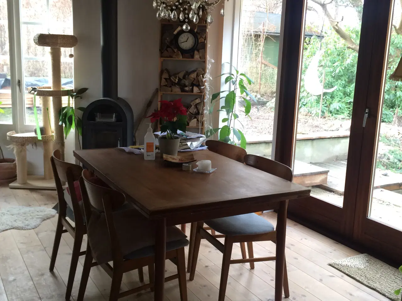 Billede 5 - Kolonihave i Enghaven havekoloni, Odense, sælges