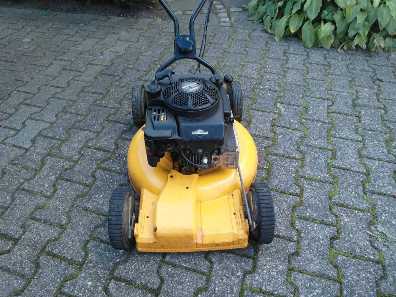 Billede 6 - Plæneklipper Stiga Multiclip 51 S Rental