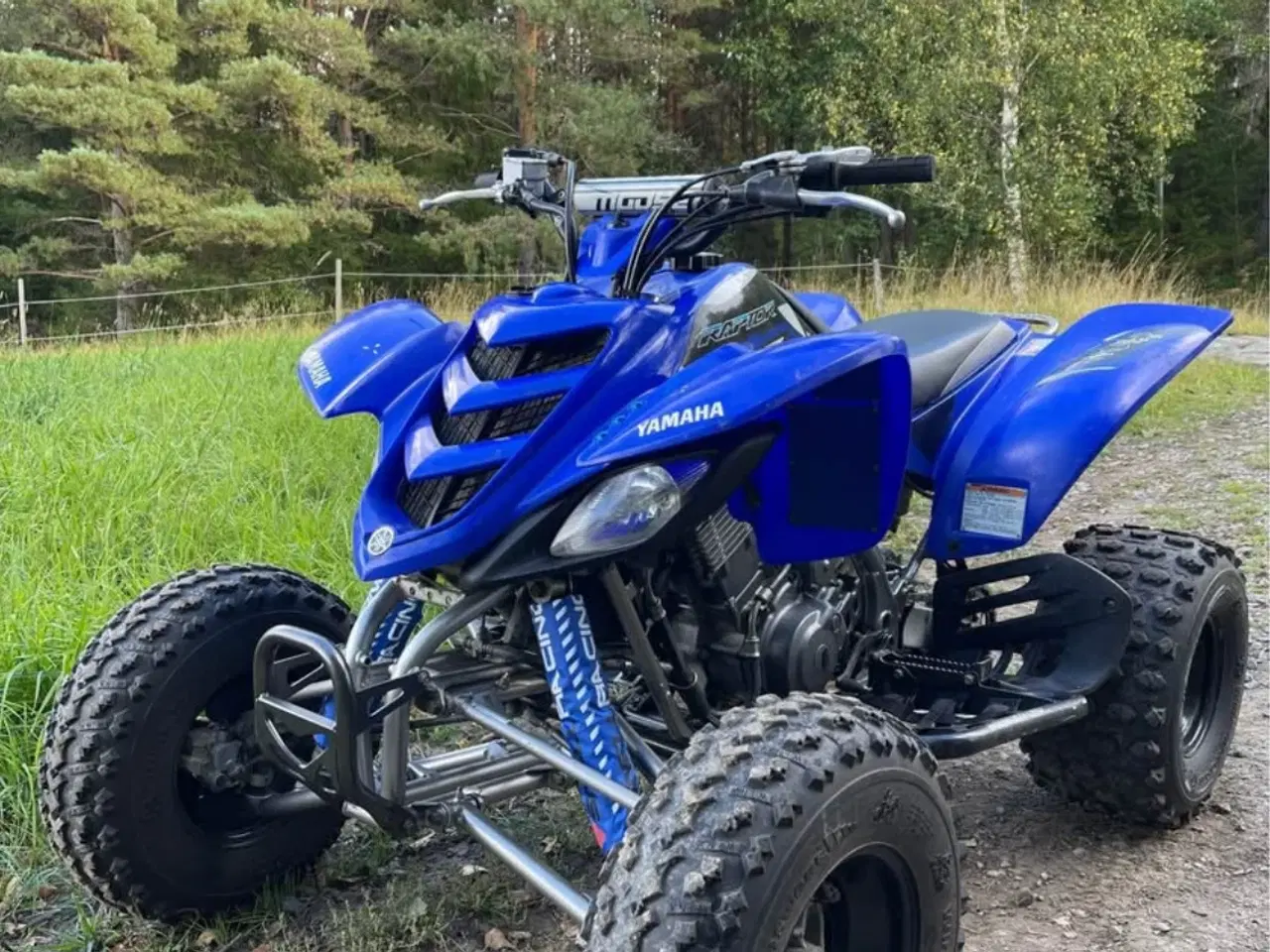 Billede 2 - Yamaha raptor 660