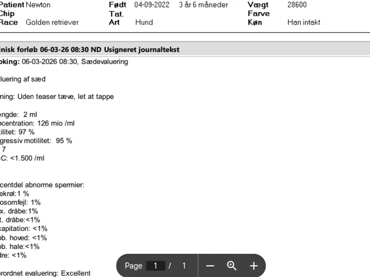 Billede 5 - Golden Retriever Stamtavle tilbydes til avl