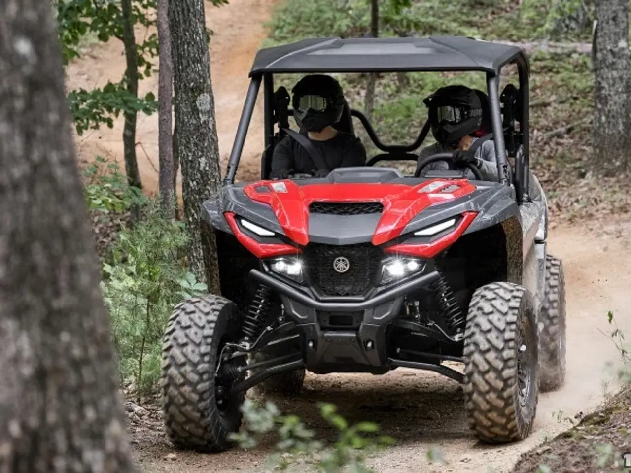 Billede 5 - Yamaha Wolverine RMAX2 1000