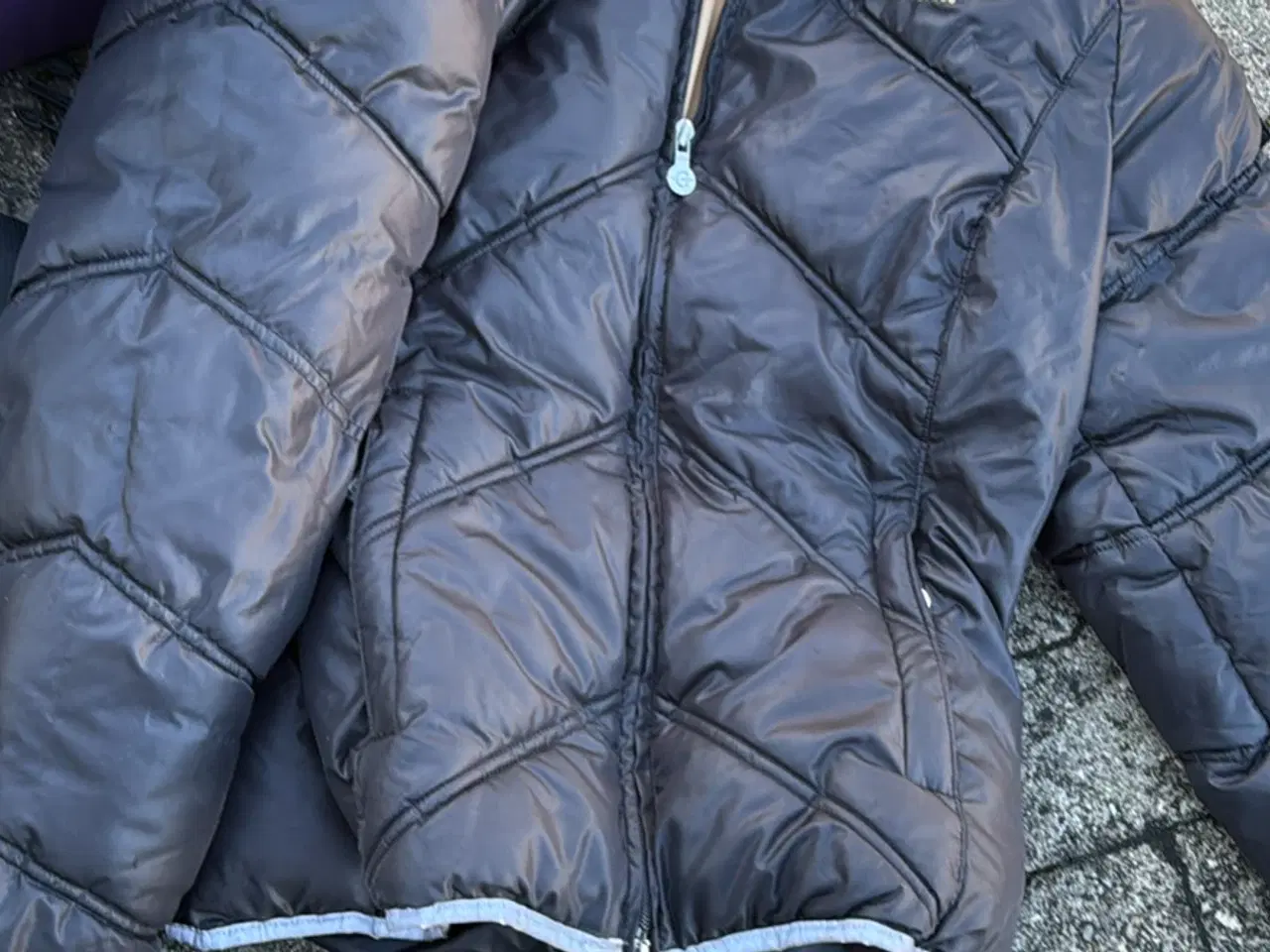 Billede 2 - Rideudstyr og heste pleje 