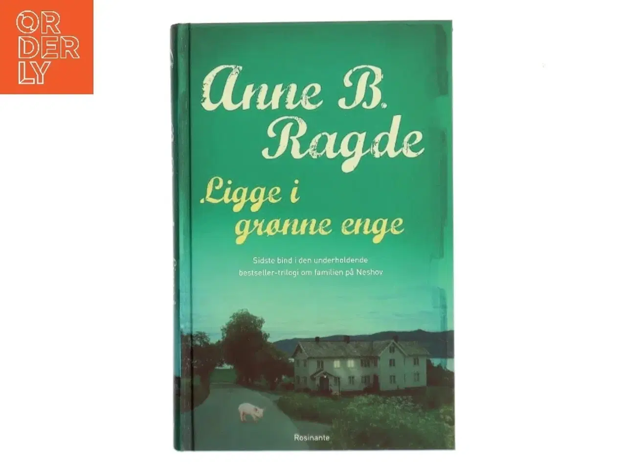 Billede 1 - Ligge i grønne enge : roman af Anne B. Ragde (Bog)