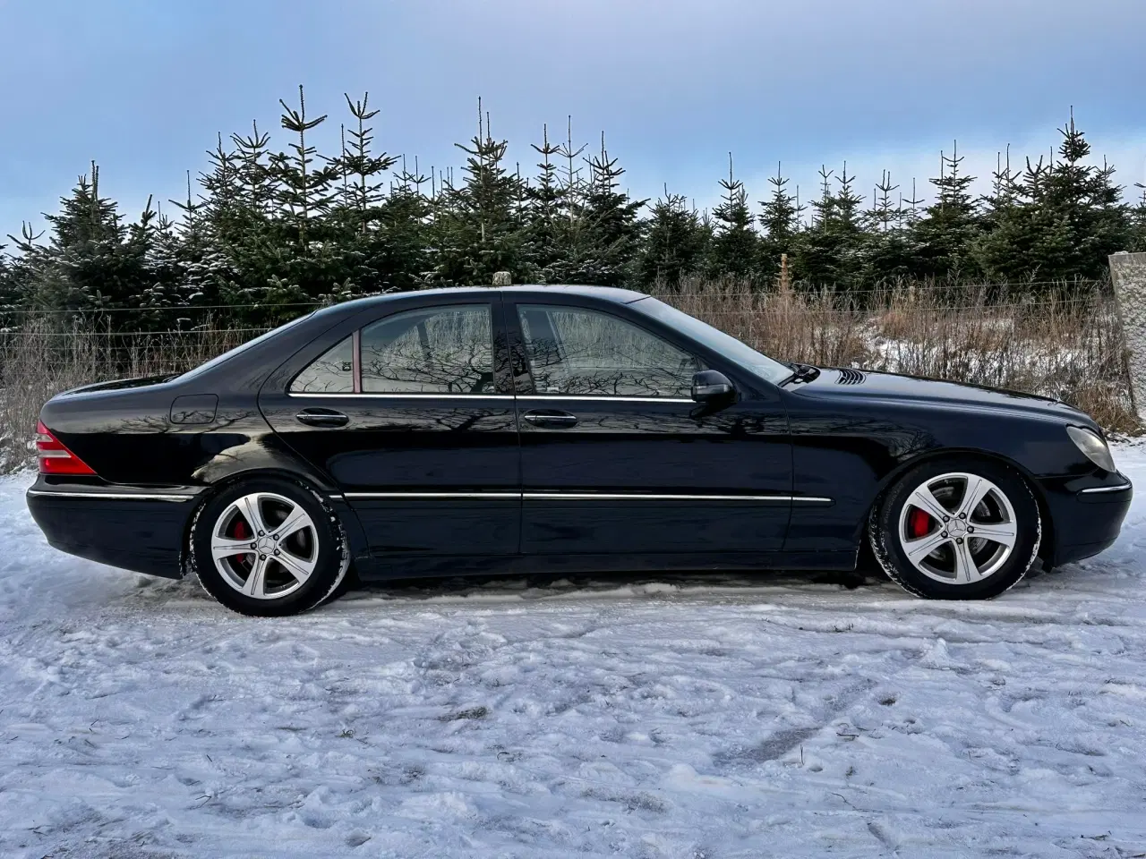 Billede 6 - Mercedes-Benz S320 CDI – W220 (2002)