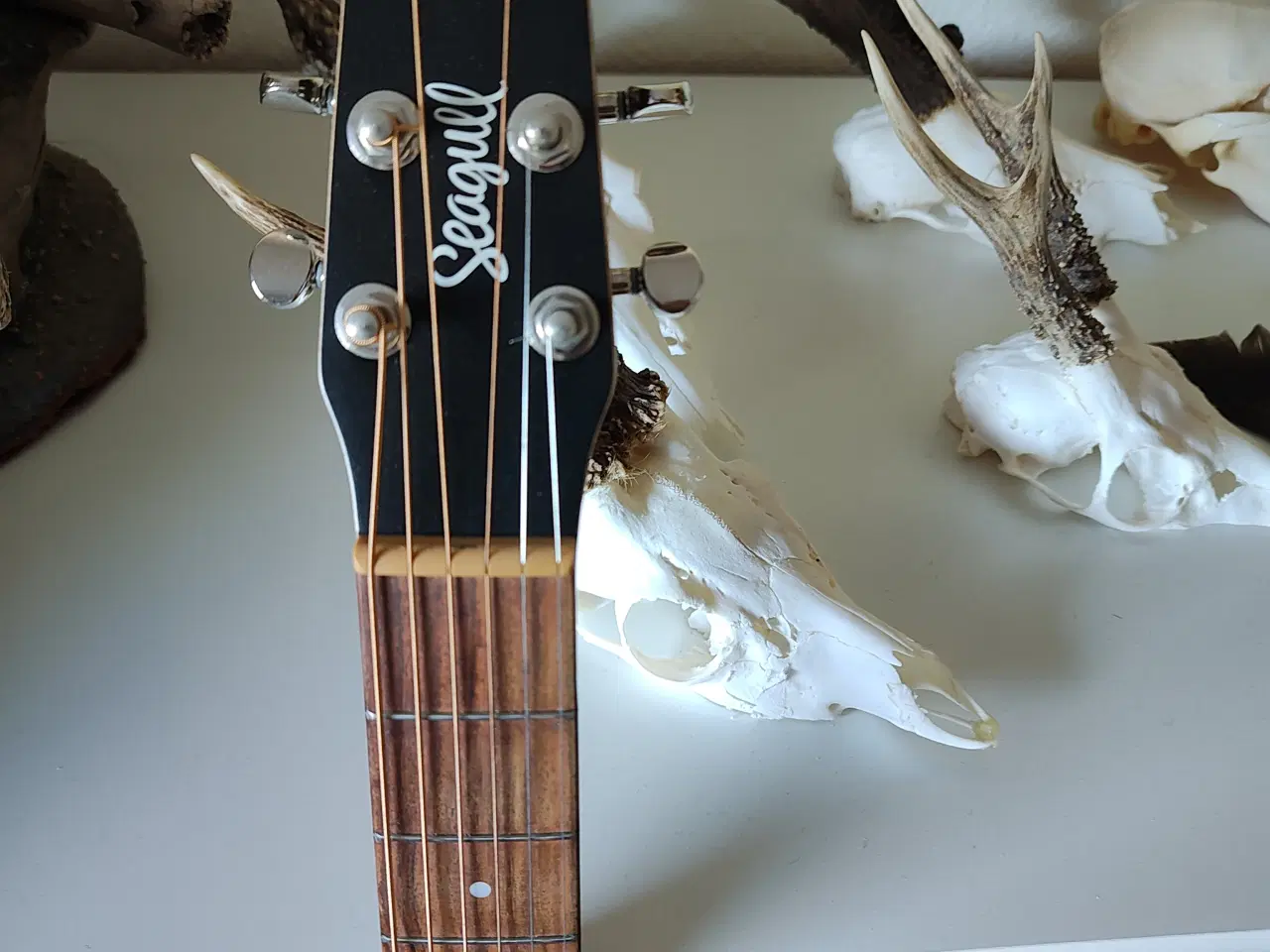 Billede 2 - Seagull akustisk guitar