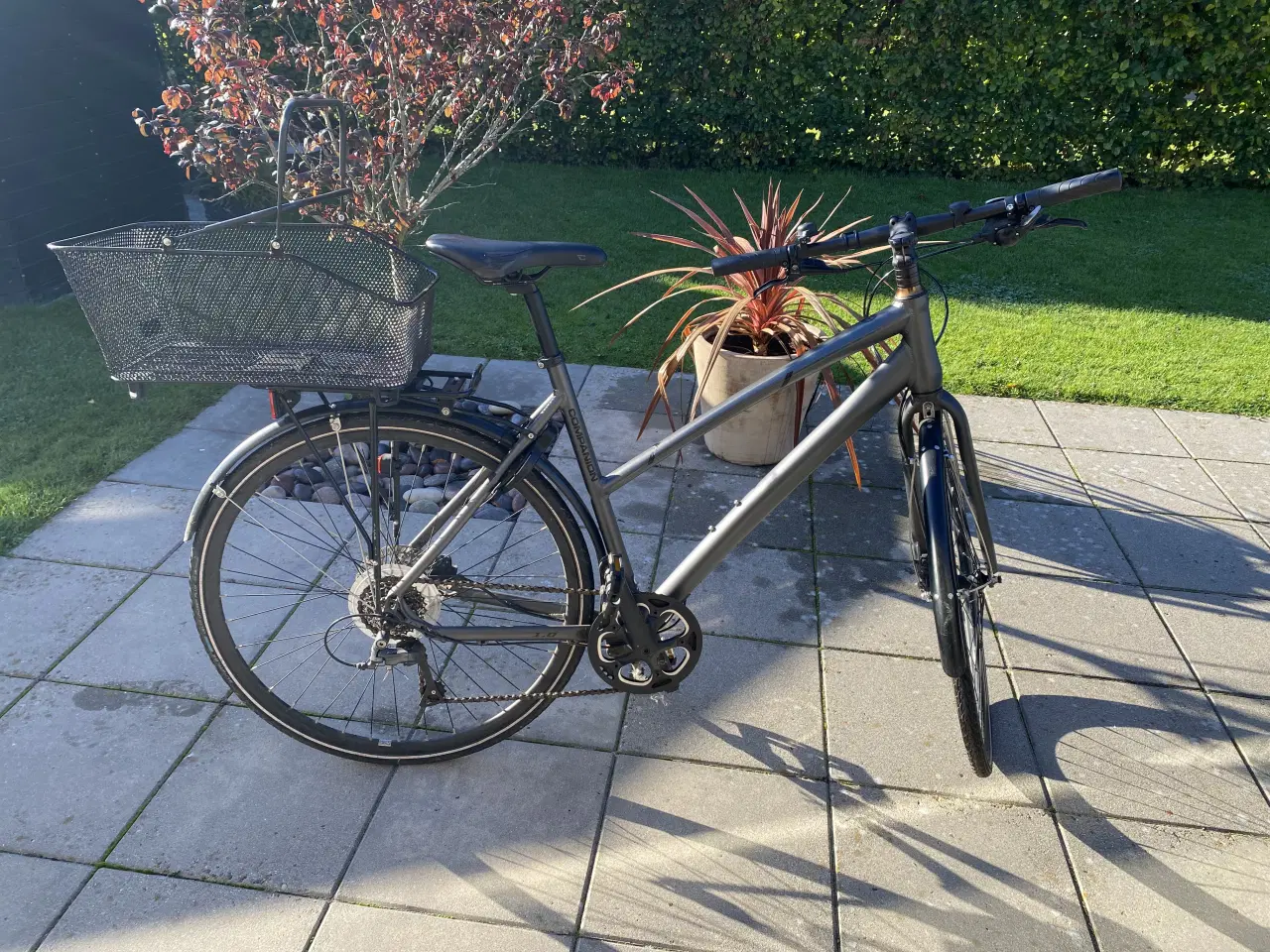 Billede 3 - Damecykel - Companion C1.0