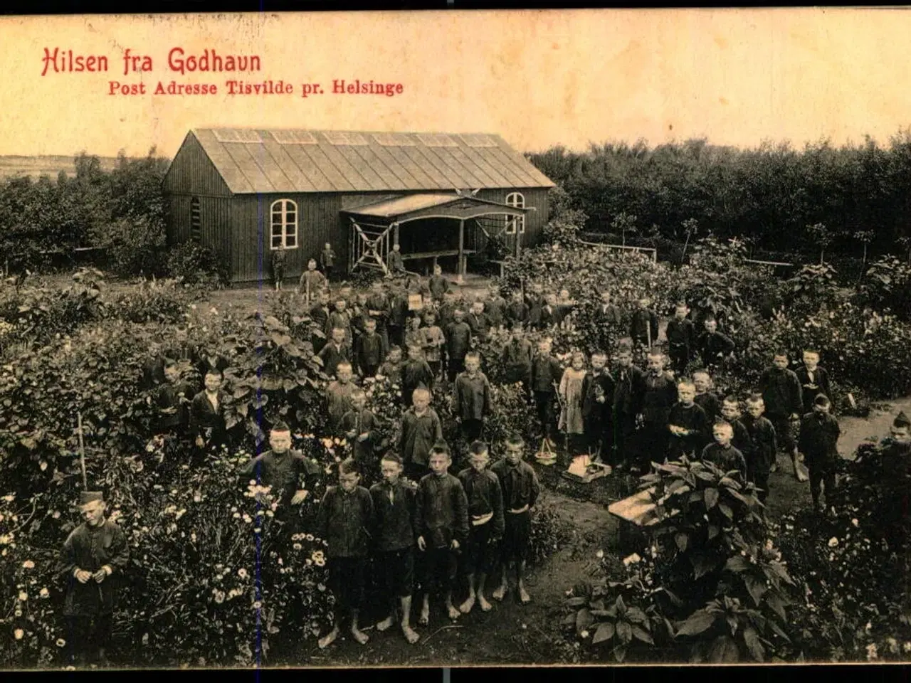 Billede 1 - Hilsen fra Godhavn - Tisvilde - u/n - Brugt