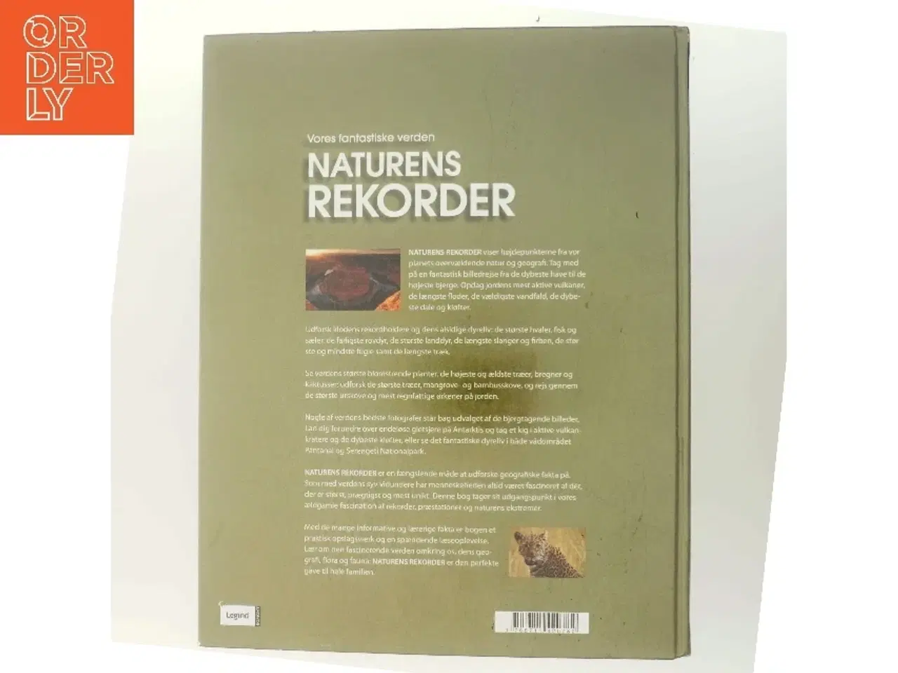 Billede 3 - Naturens rekorder : terra maxima : vores fantastiske verden (Bog)