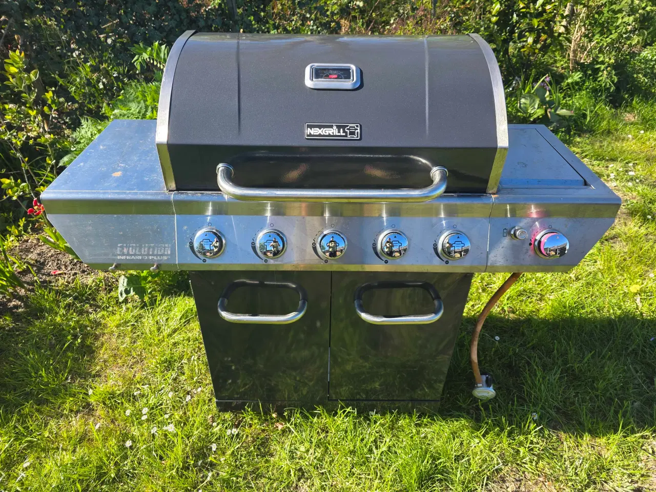 Billede 1 - Nexgrill Evolution 5 brænder + sidebrænder – God S