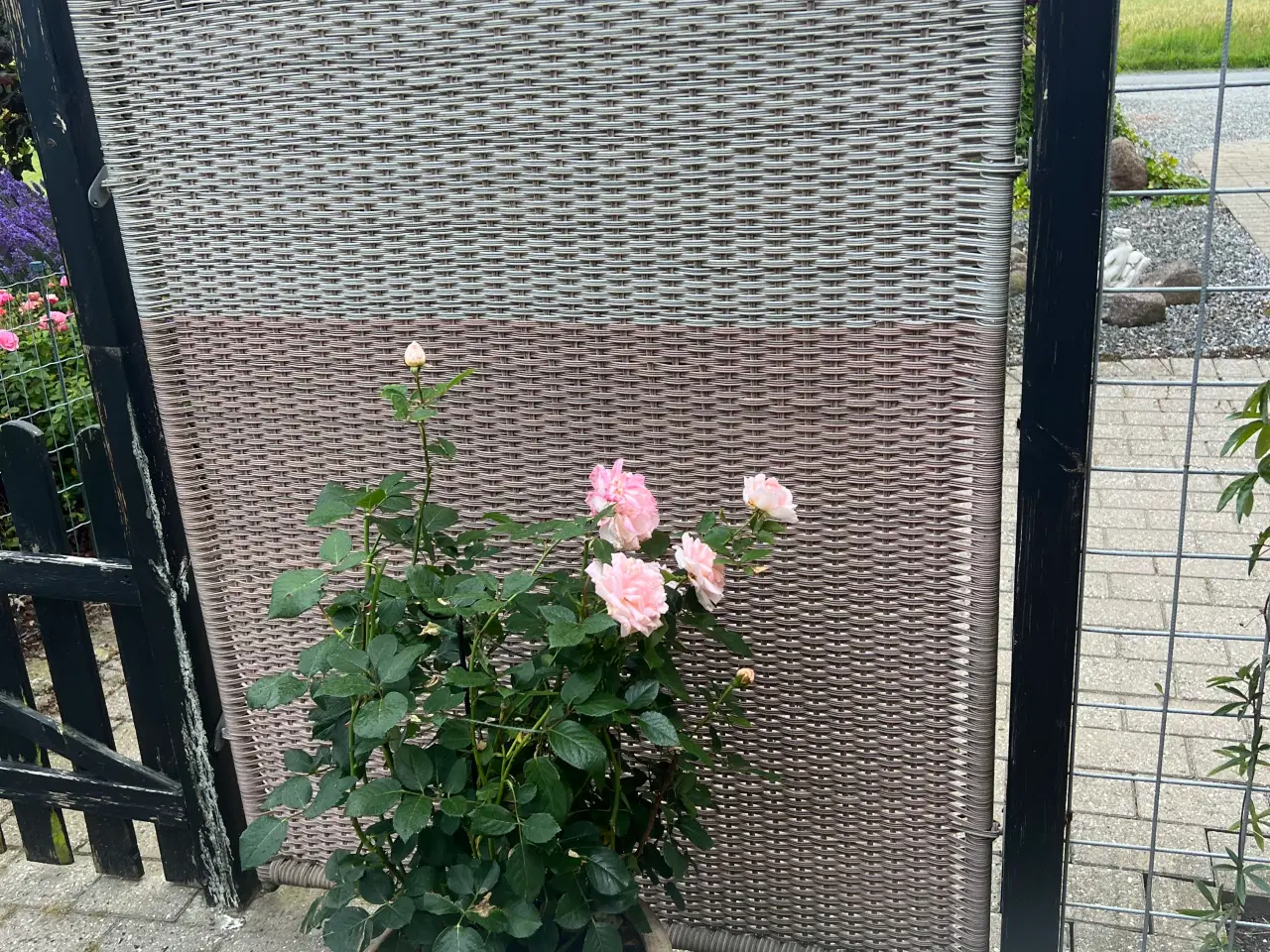 Billede 6 - Plus hegn, polyrattan 