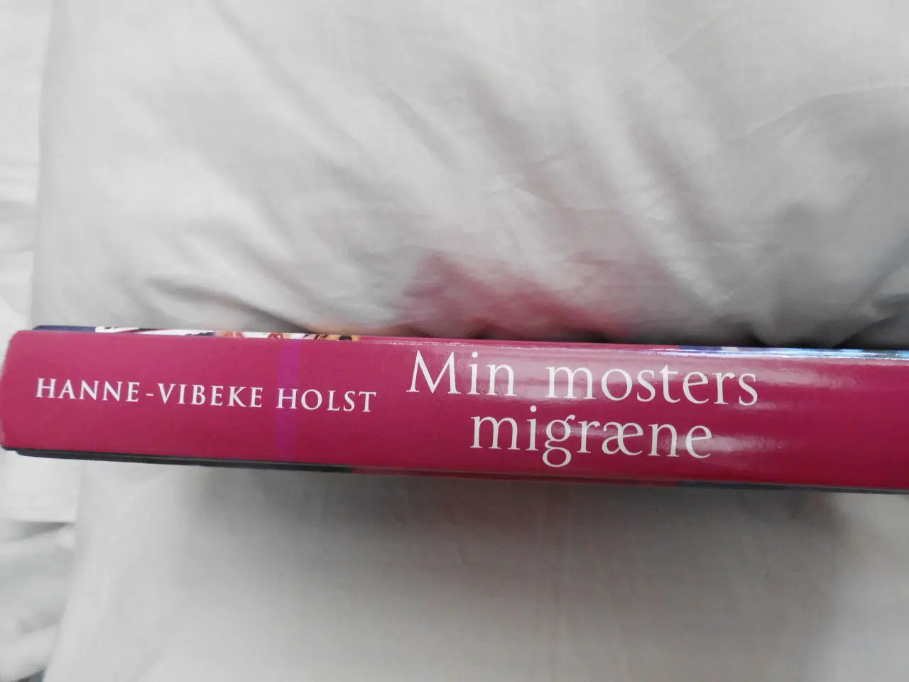 Billede 2 - Min mosters migrene" af  Hanne Vibeke Holst, 
