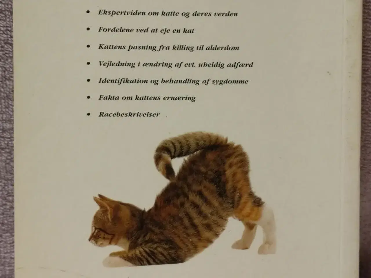 Billede 2 - Den komplette håndbog til din kat