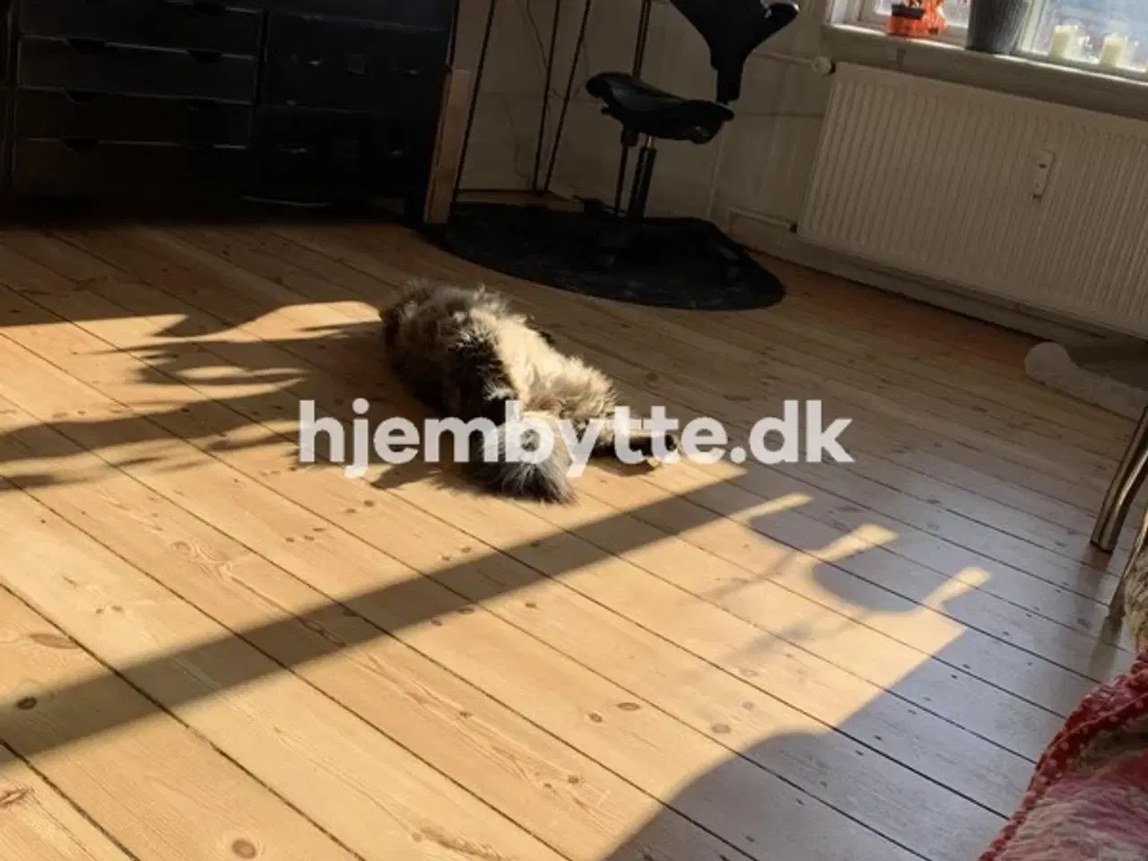 Billede 1 - Hjembytte - Godsbanegade