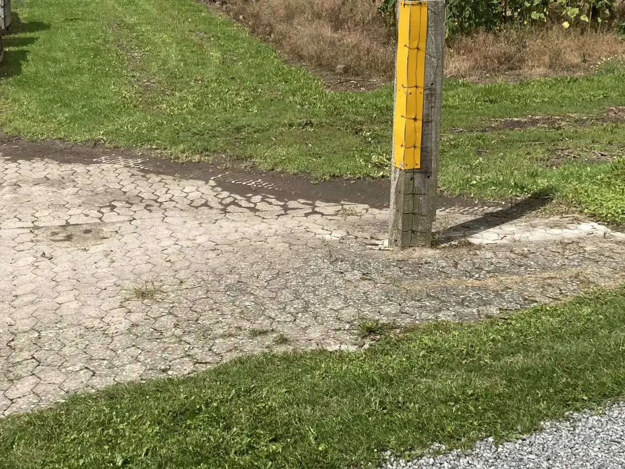 Billede 5 - 3 m/3 Brænde blandet, skåret i 1,0 meter stykker