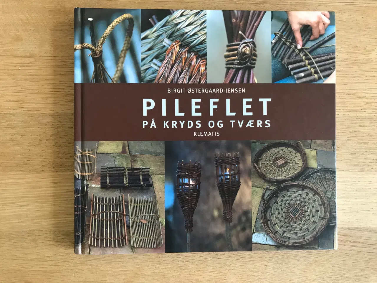 Billede 1 - PILEFLET på kryds og tværs  