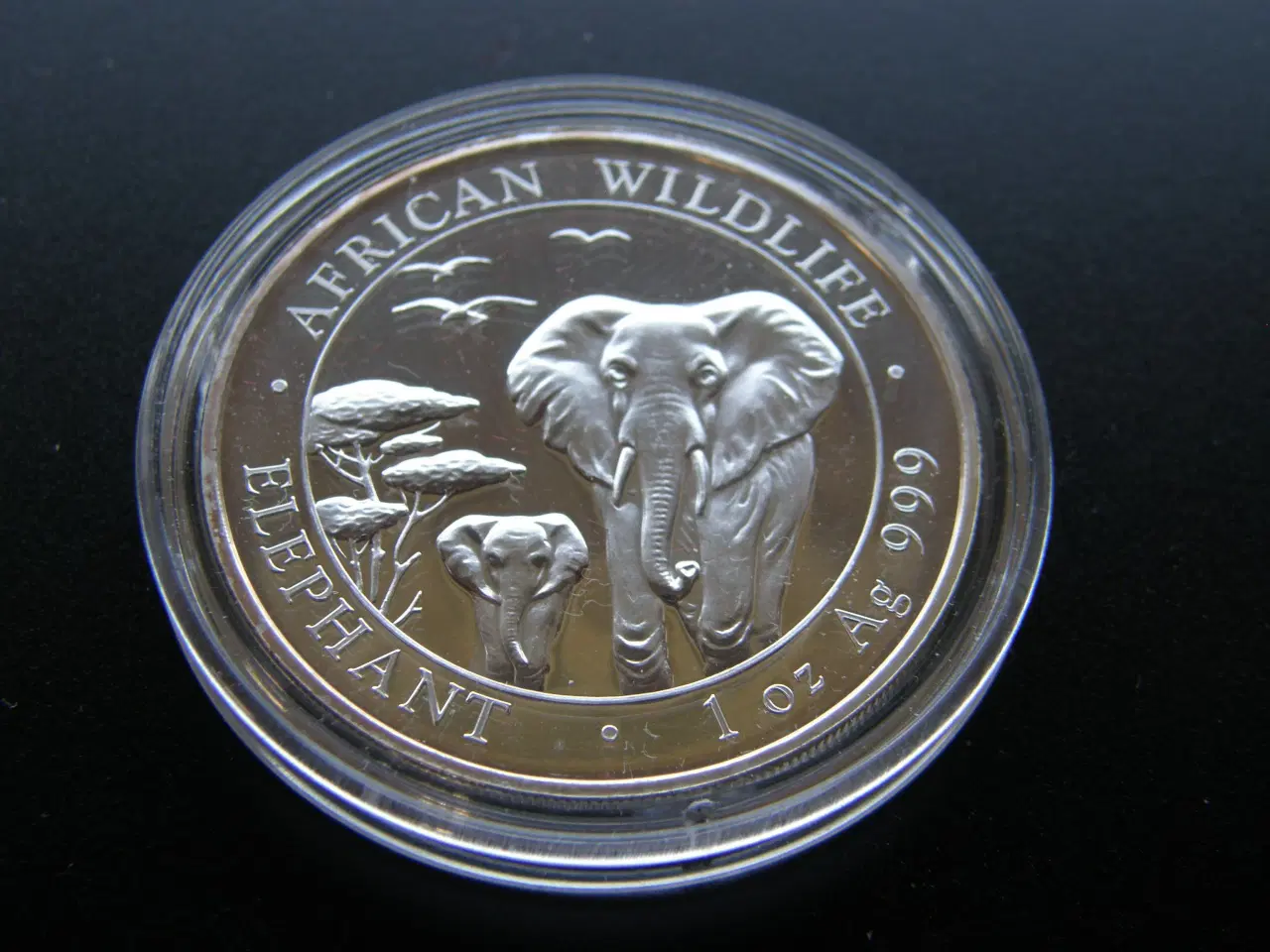 Billede 1 - Somali  100 Shillings  2015  Sølv  Kv.Unc.
