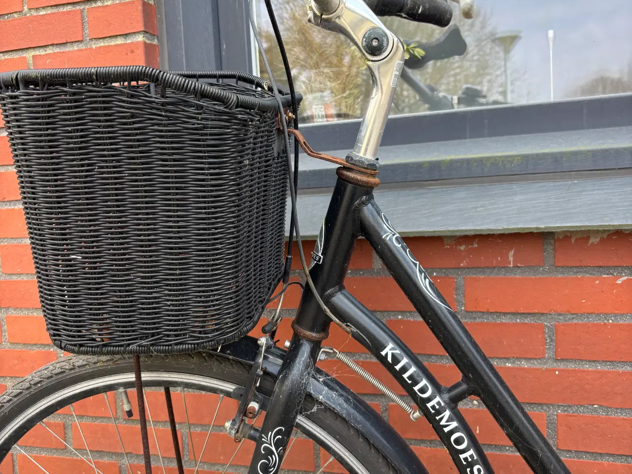 Billede 2 - Trænger til en kærlig hånd