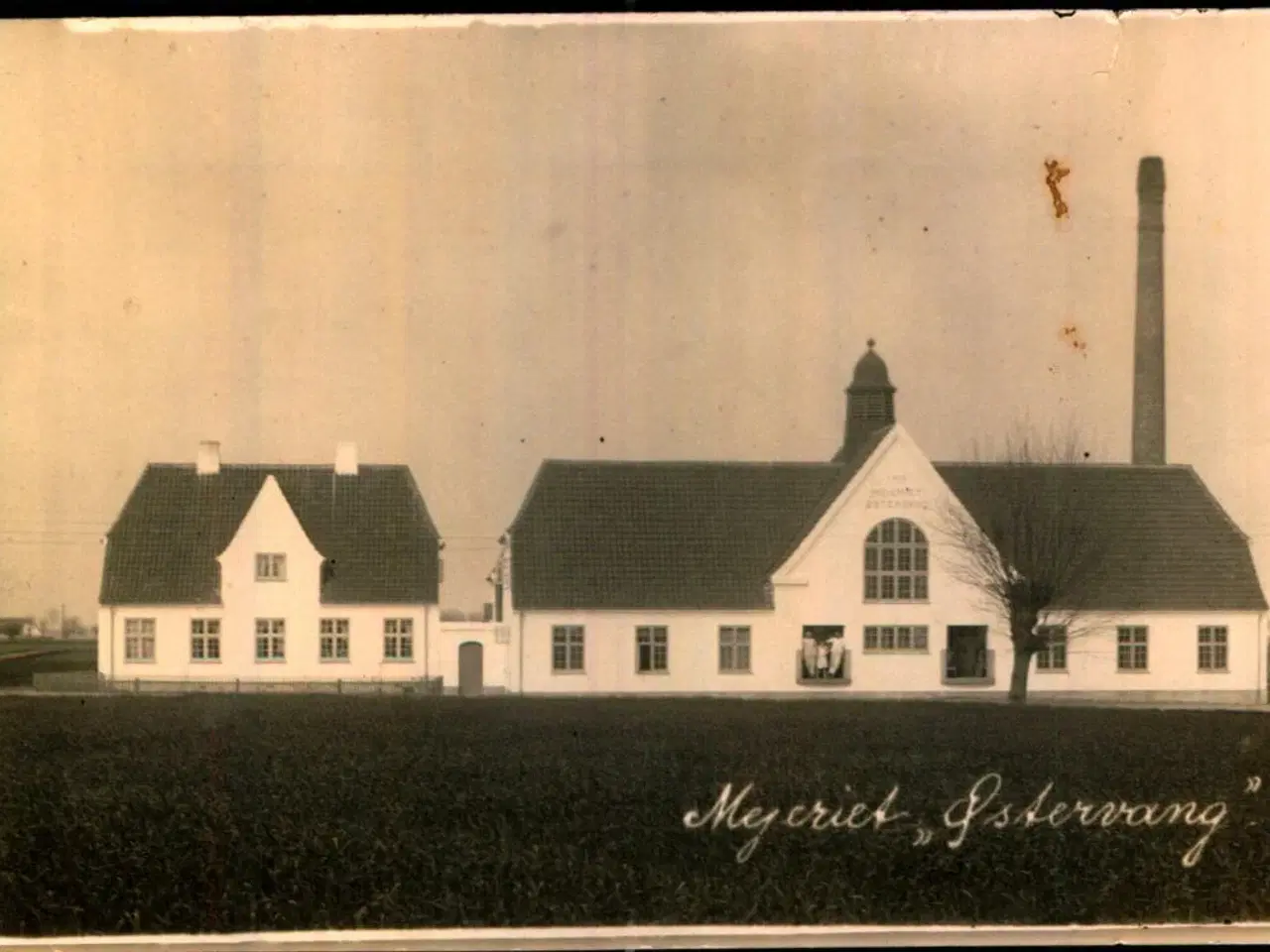 Billede 1 - Mejeriet Østervang 1919 - Fotokort u/n - Ubrugt