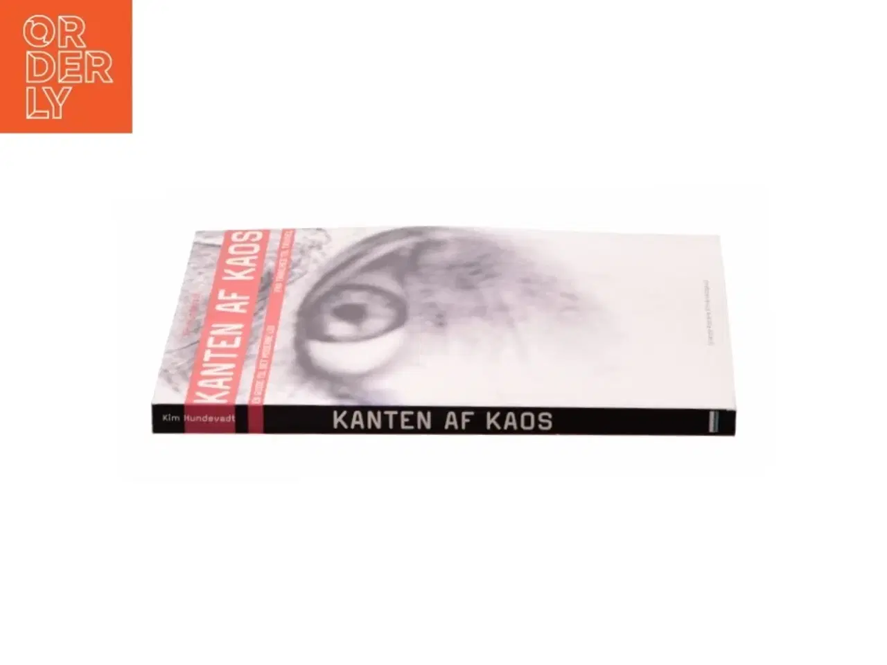 Billede 3 - Kanten af kaos af Kim Hundevadt (Bog)