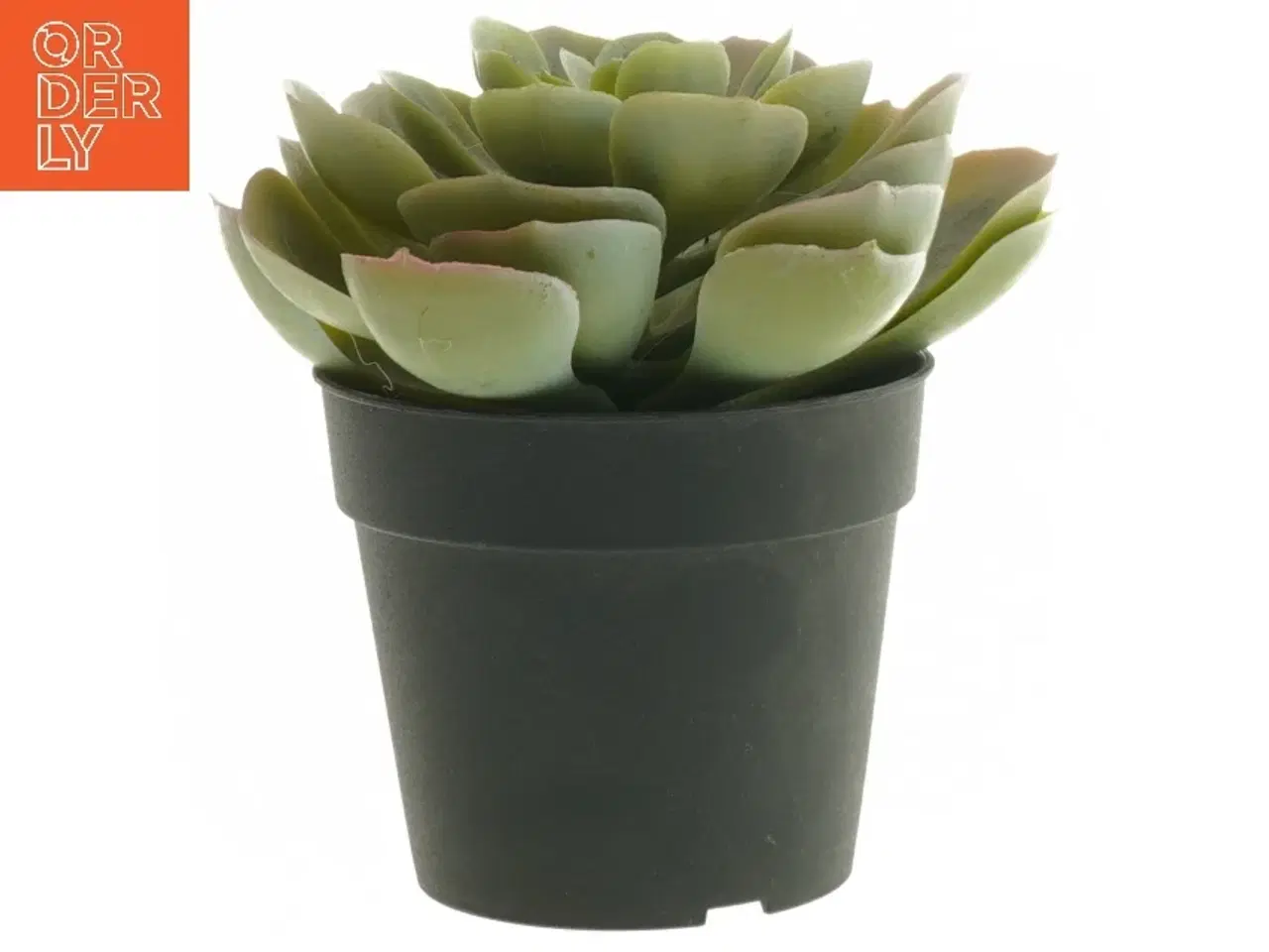 Billede 7 - Dekorative kunstige planter i sorte potter fra IKEA (str. 12 cm og 19 cm)