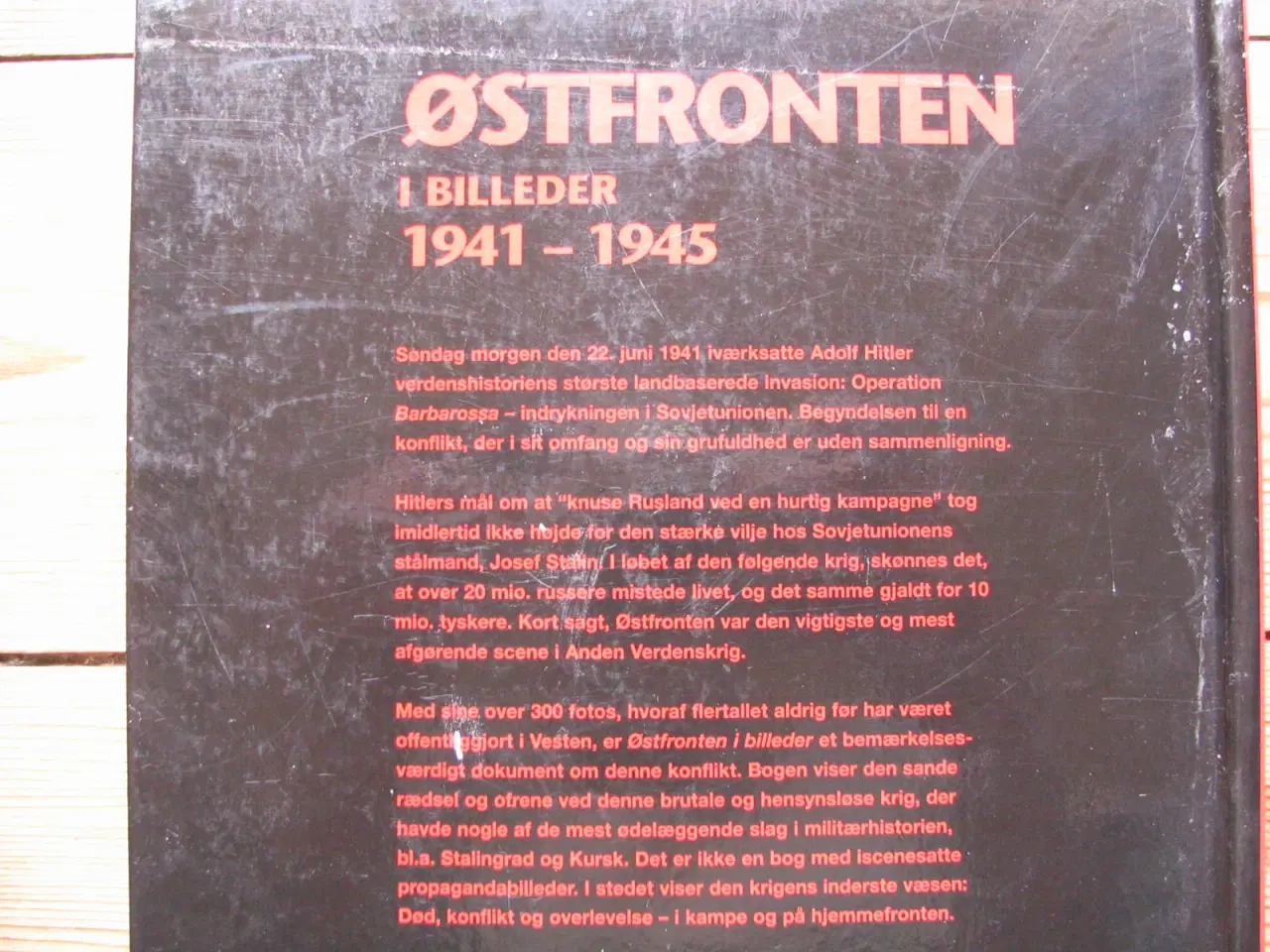 Billede 8 - Østfronten i billeder 1941-1945