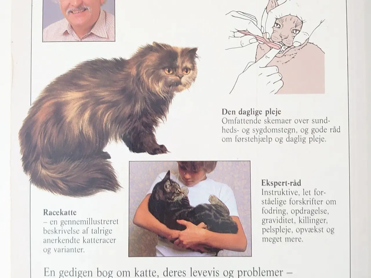 Billede 2 - David Taylor: Du og din Kat, Gyldendal 1990.