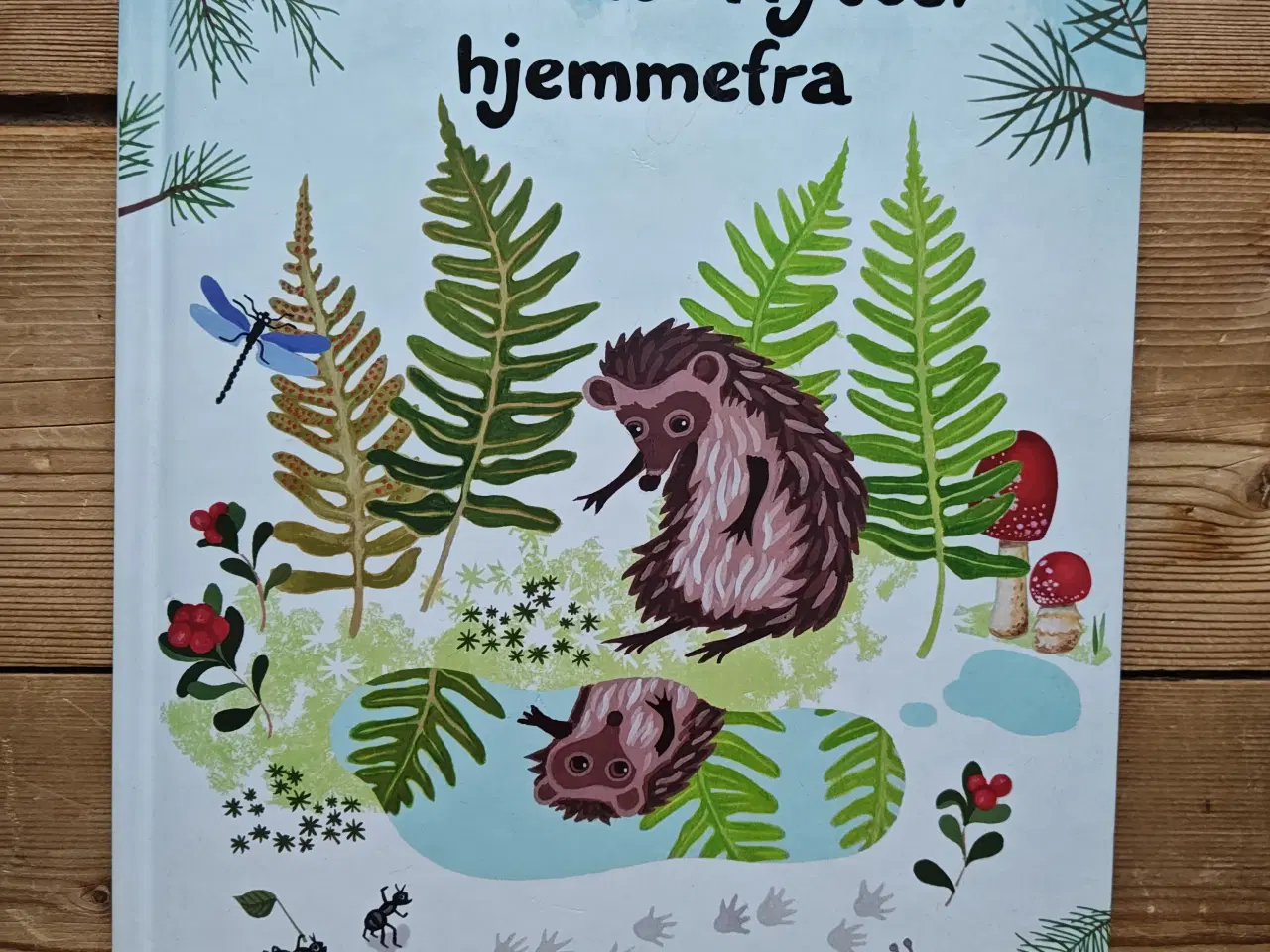 Billede 1 - Pindsvinet flytter hjemmefra BOG