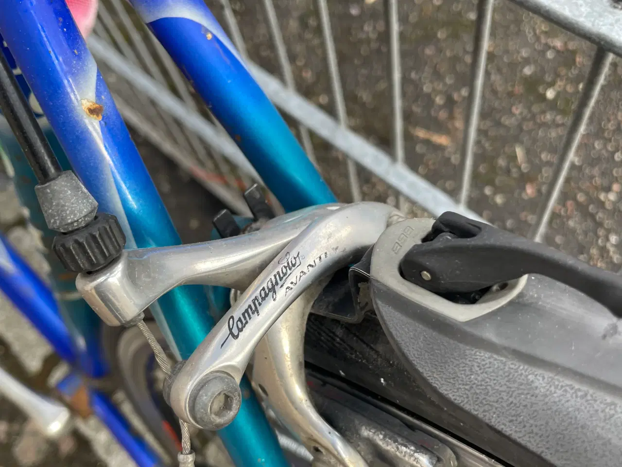 Billede 3 - Racer Olmo med campagnolo udstyr