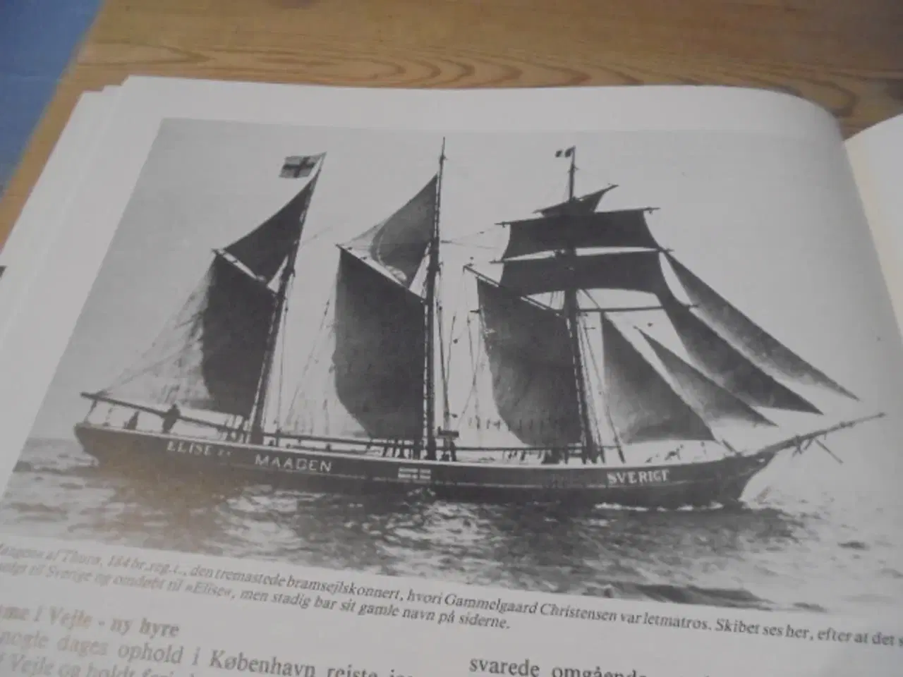 Billede 7 - Fra Vejle Fjord over verdenshavene til Vadehavet