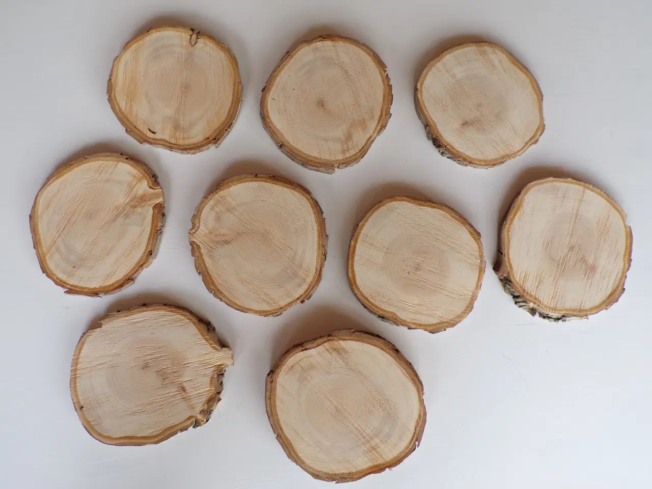 Billede 1 - NYE Thuja Træskiver 18-21 cm