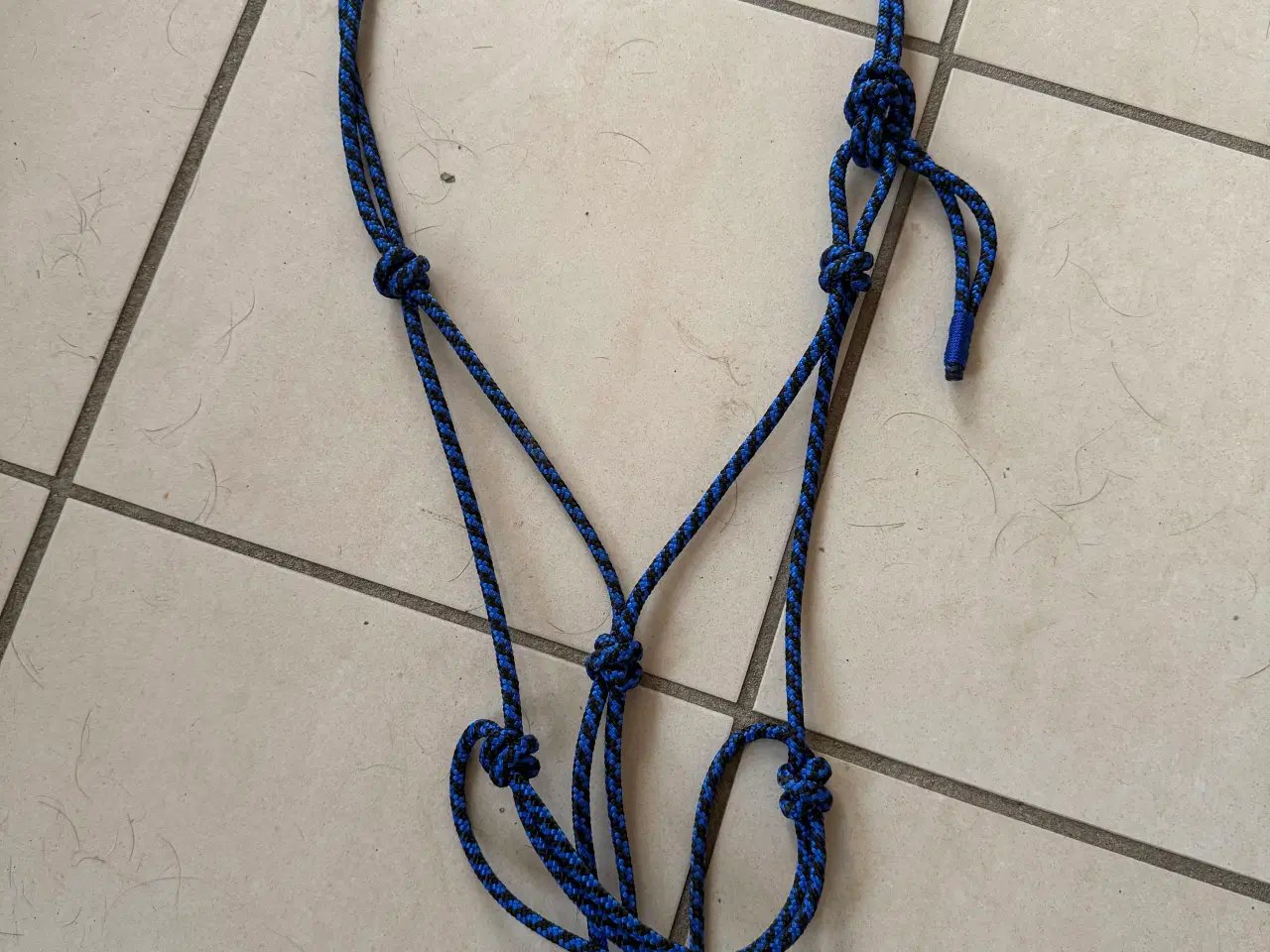 Billede 1 - Reb grime str cob