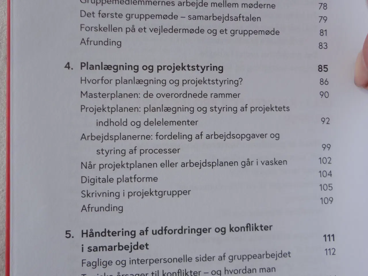 Billede 3 - Projektgruppen - hvordan gør vi ?