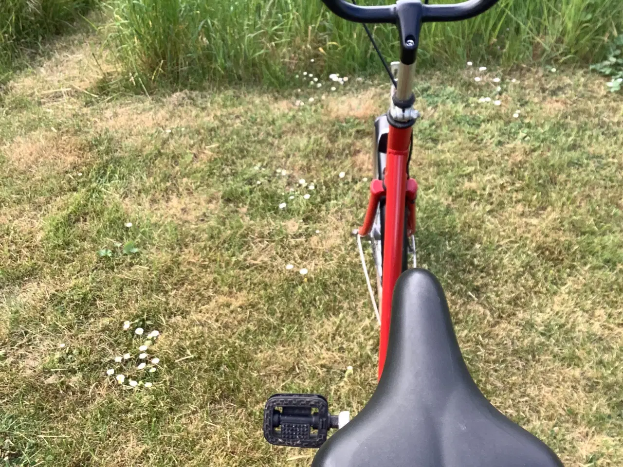 Billede 7 - Seniorcykel Dansk kvalitet...