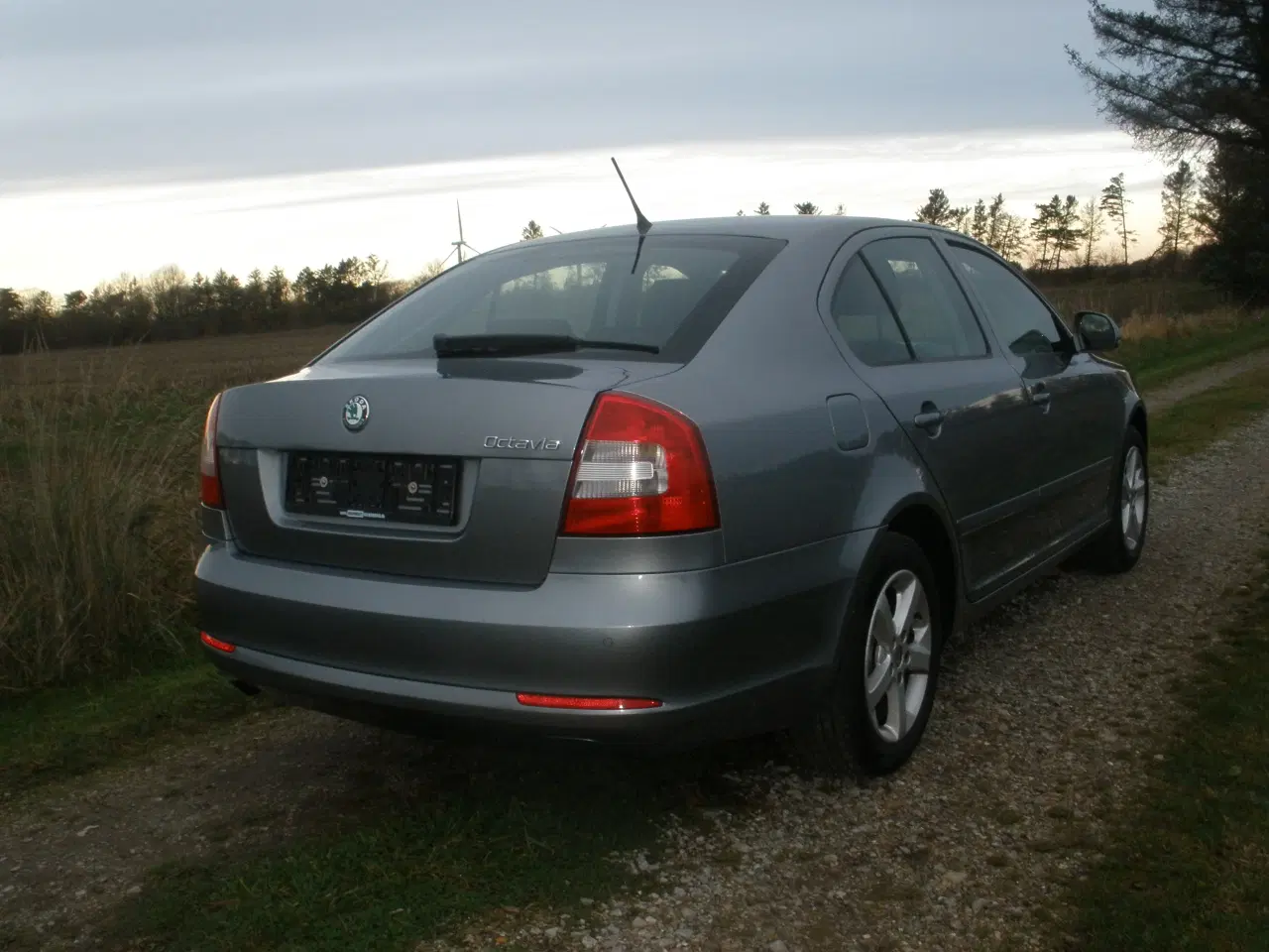 Billede 8 - Skoda Octavia 1,2I 5 dørs