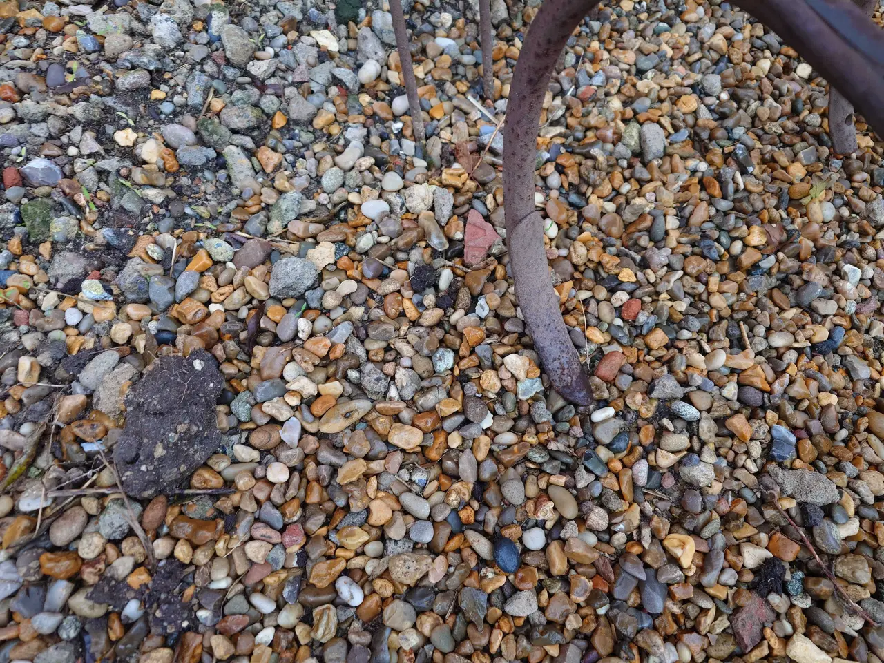 Billede 2 - Kongskilde harve 3 meter