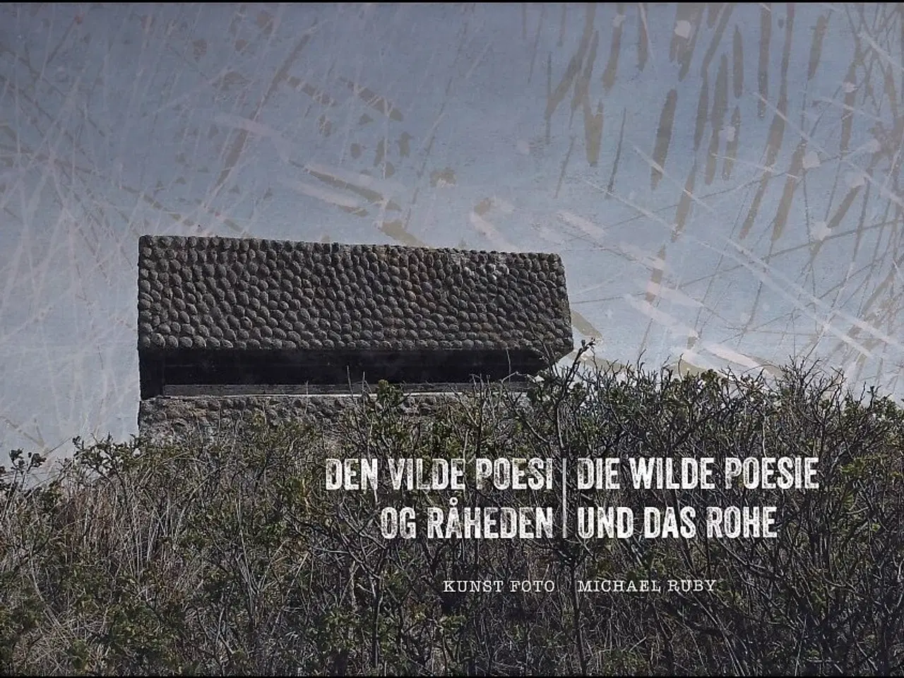 Billede 1 - Den vilde poesi og råheden - Foto- og kunstbog
