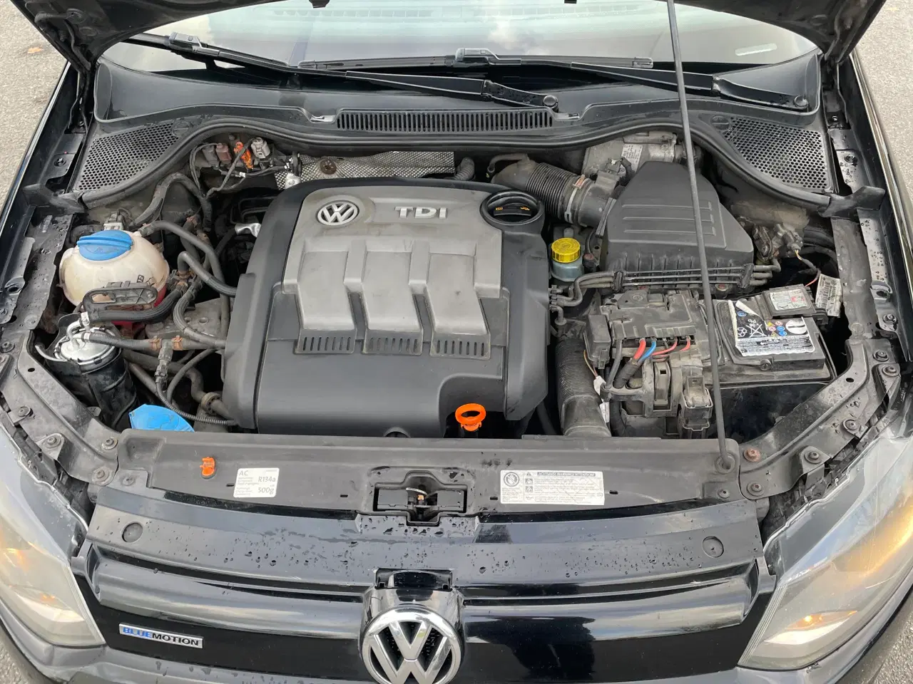 Billede 4 - WWW Polo