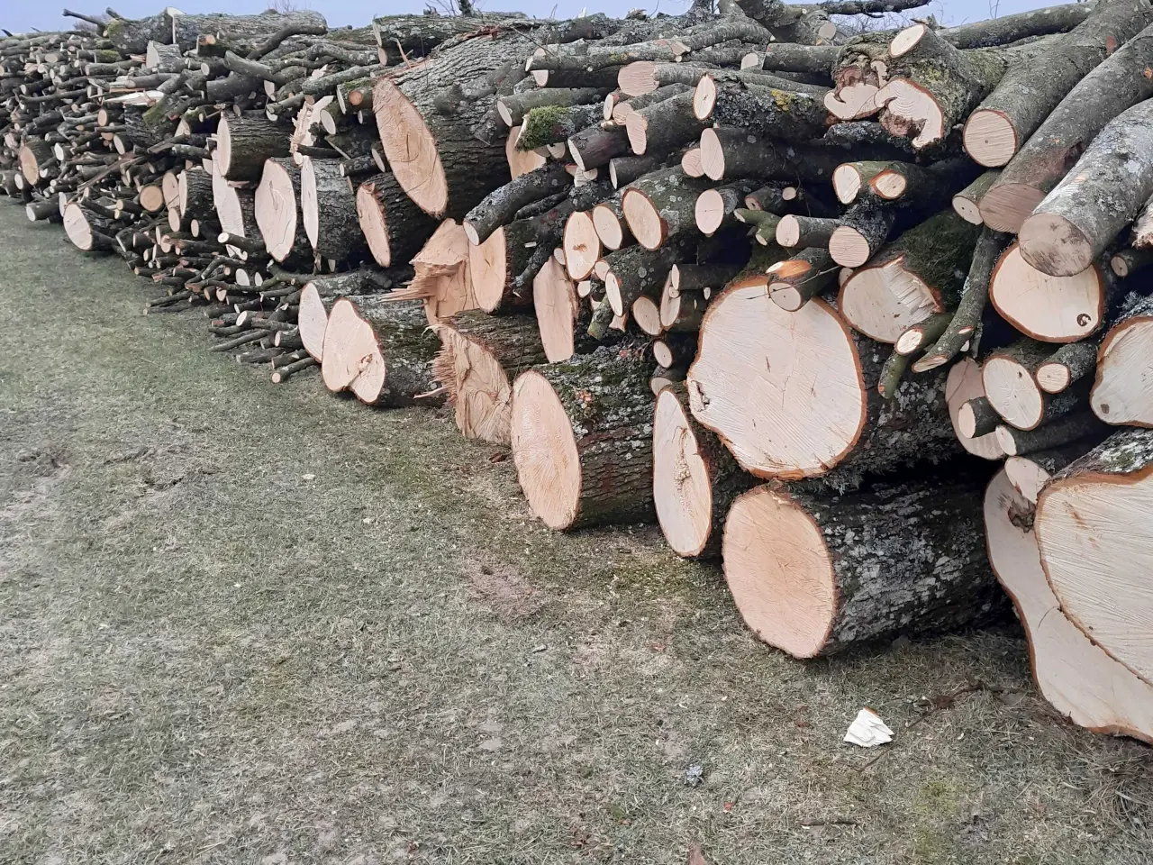 Billede 1 - BRÆNDE, BLANDET LØVTRÆ 18 mtr