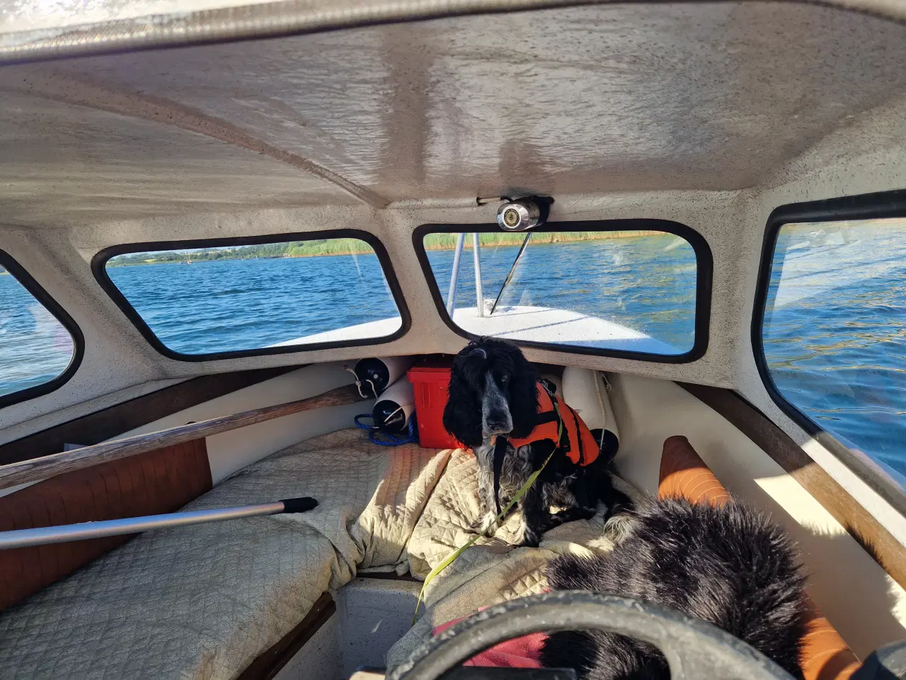 Billede 2 - With 17 Vital Dromedille Hardtopbåd
