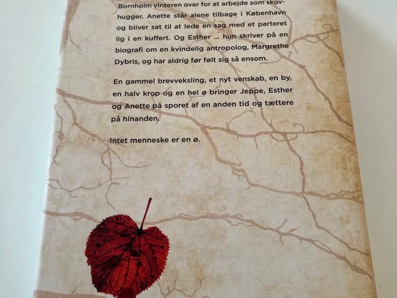 Billede 2 - Isola af Katrine Engberg