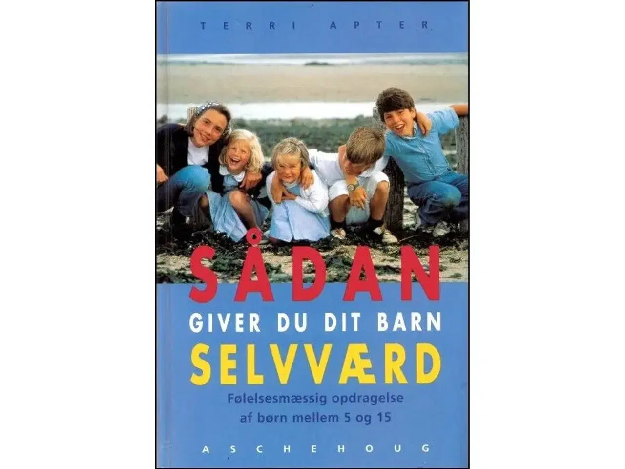 Billede 2 - Hvordan skaber du Stærke Børn?