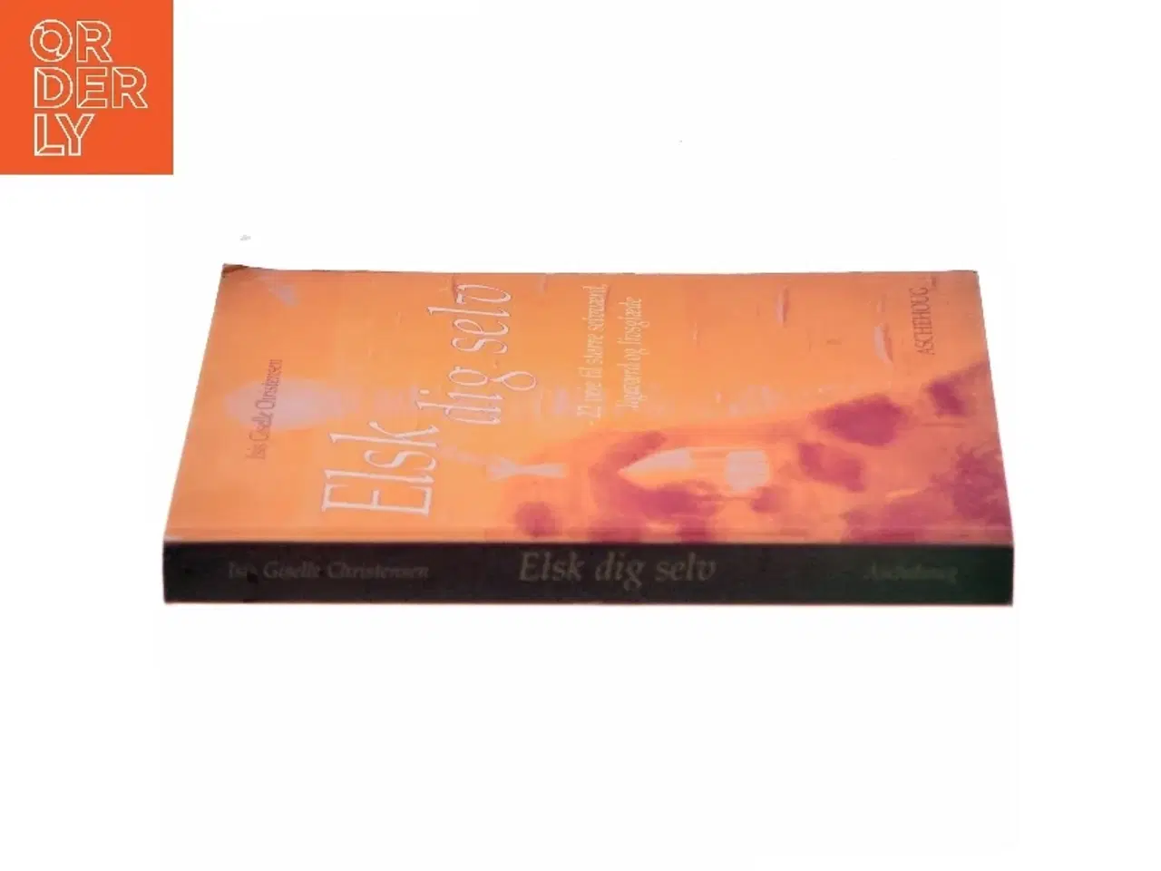 Billede 2 - Elsk dig selv : 22 veje til større selvværd, ligeværd og livsglæde af Isis Giselle Christensen (Bog)