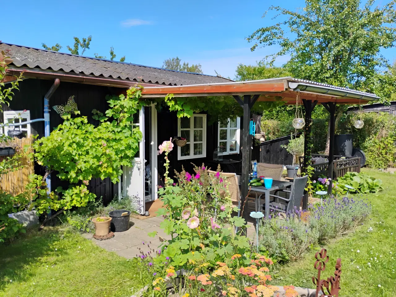 Billede 17 - Dejlig kolonihave