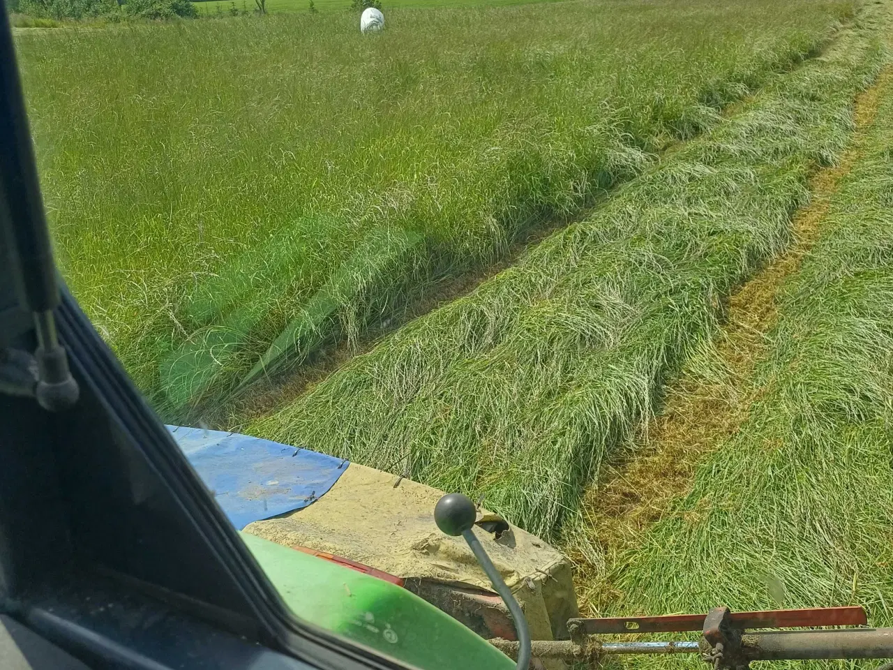 Billede 6 - Wrap til heste af hestegræsblanding.