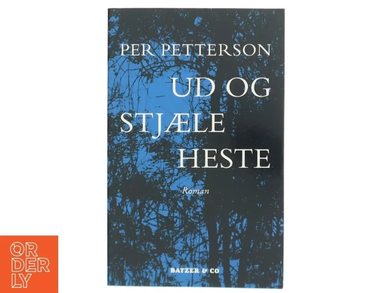 Billede 1 - Ud og stjæle heste : roman (Bog)