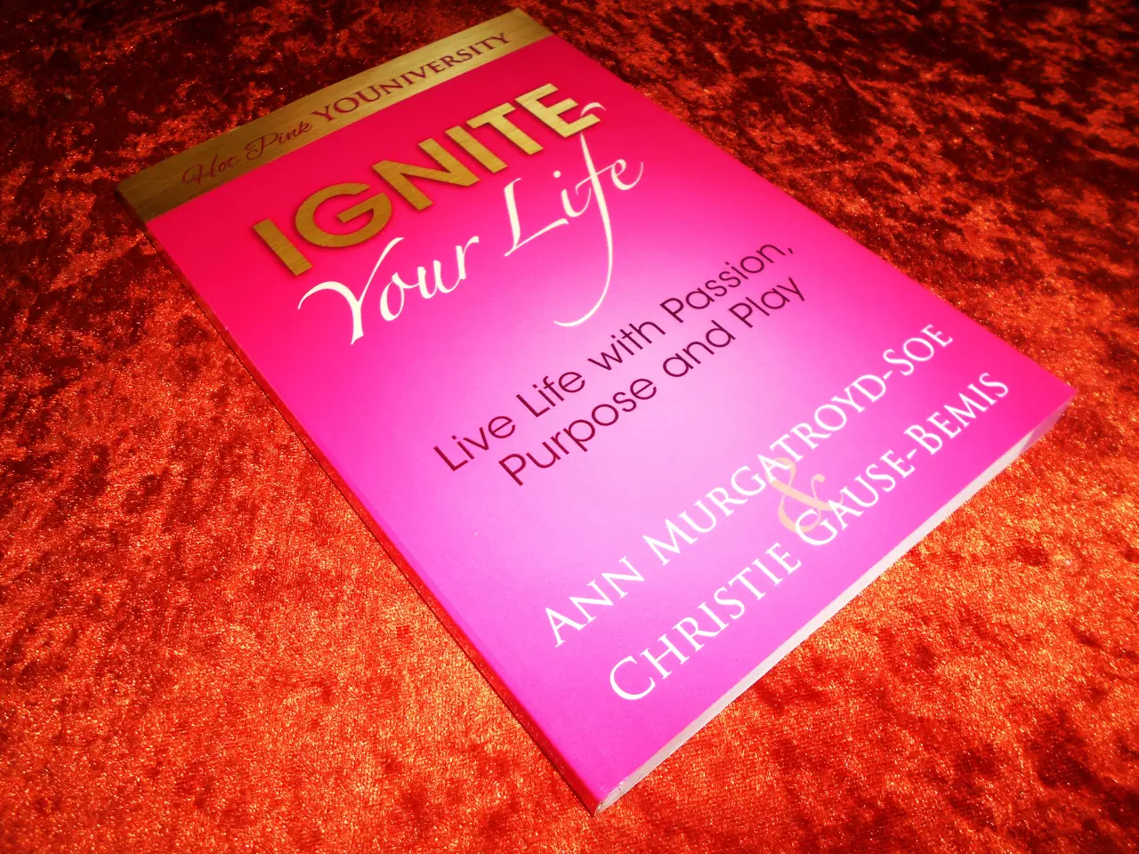 Billede 1 - Ignite Your Life,  Ann Murgatroyd-Soe m.fl.