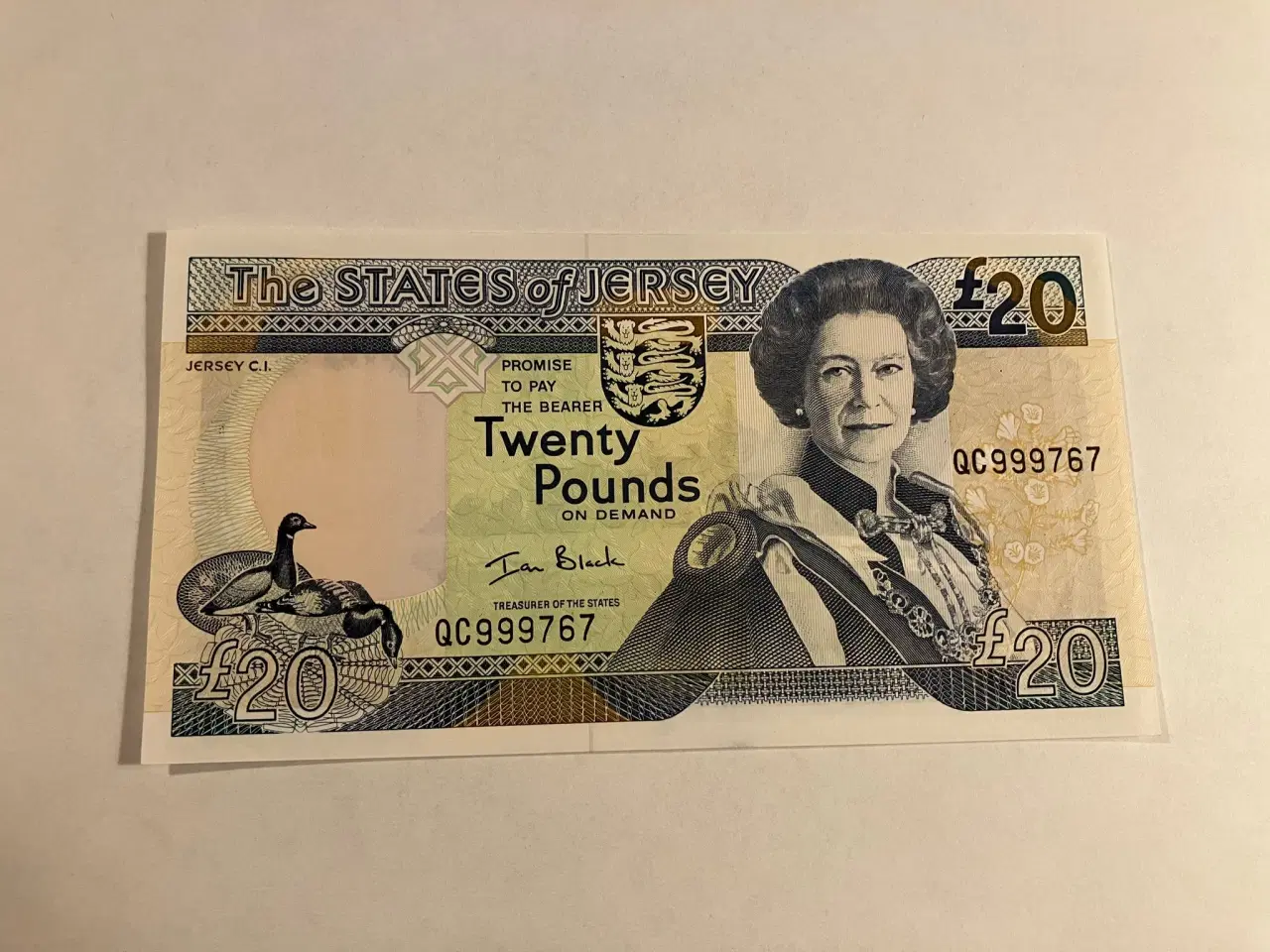 Billede 1 - 20 Pounds Jersey