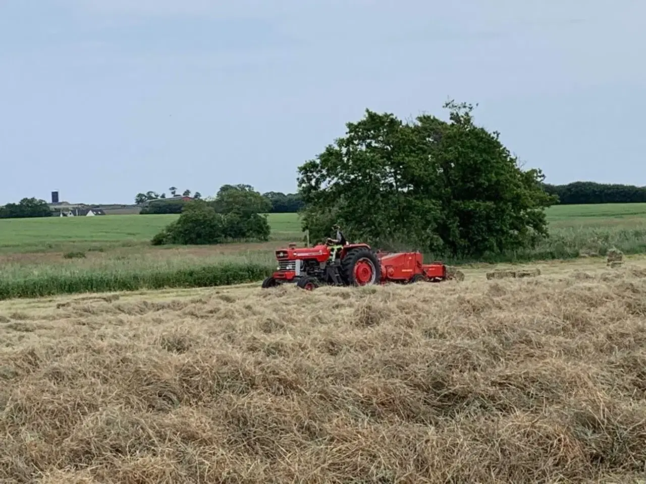 Billede 1 - Øko Hø i Morten Korch baller