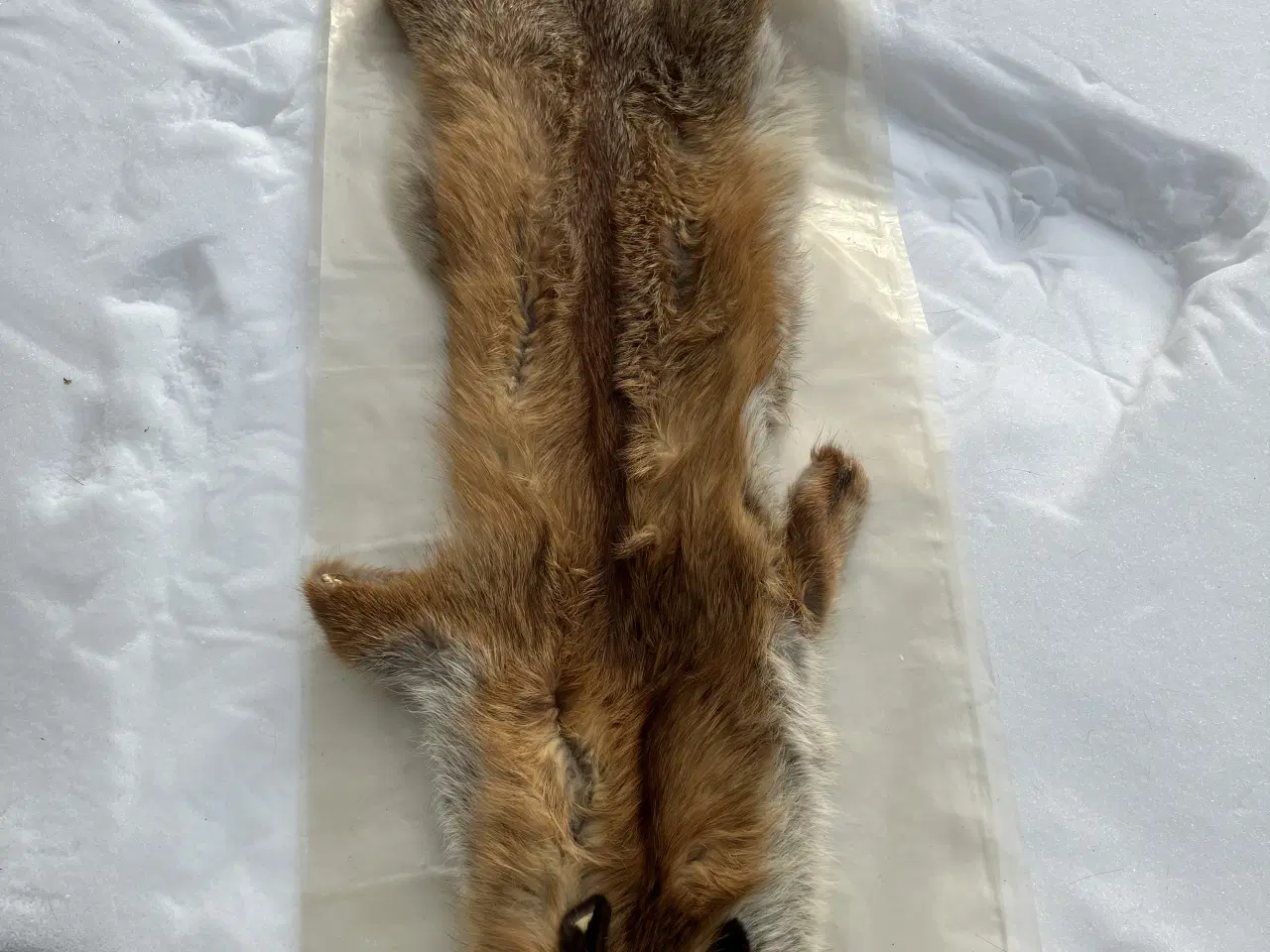 Billede 3 - Ræveskind