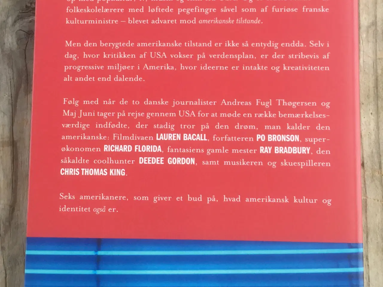 Billede 2 - Amerikanske tilstande, Andreas Thøgersen, Maj Juni
